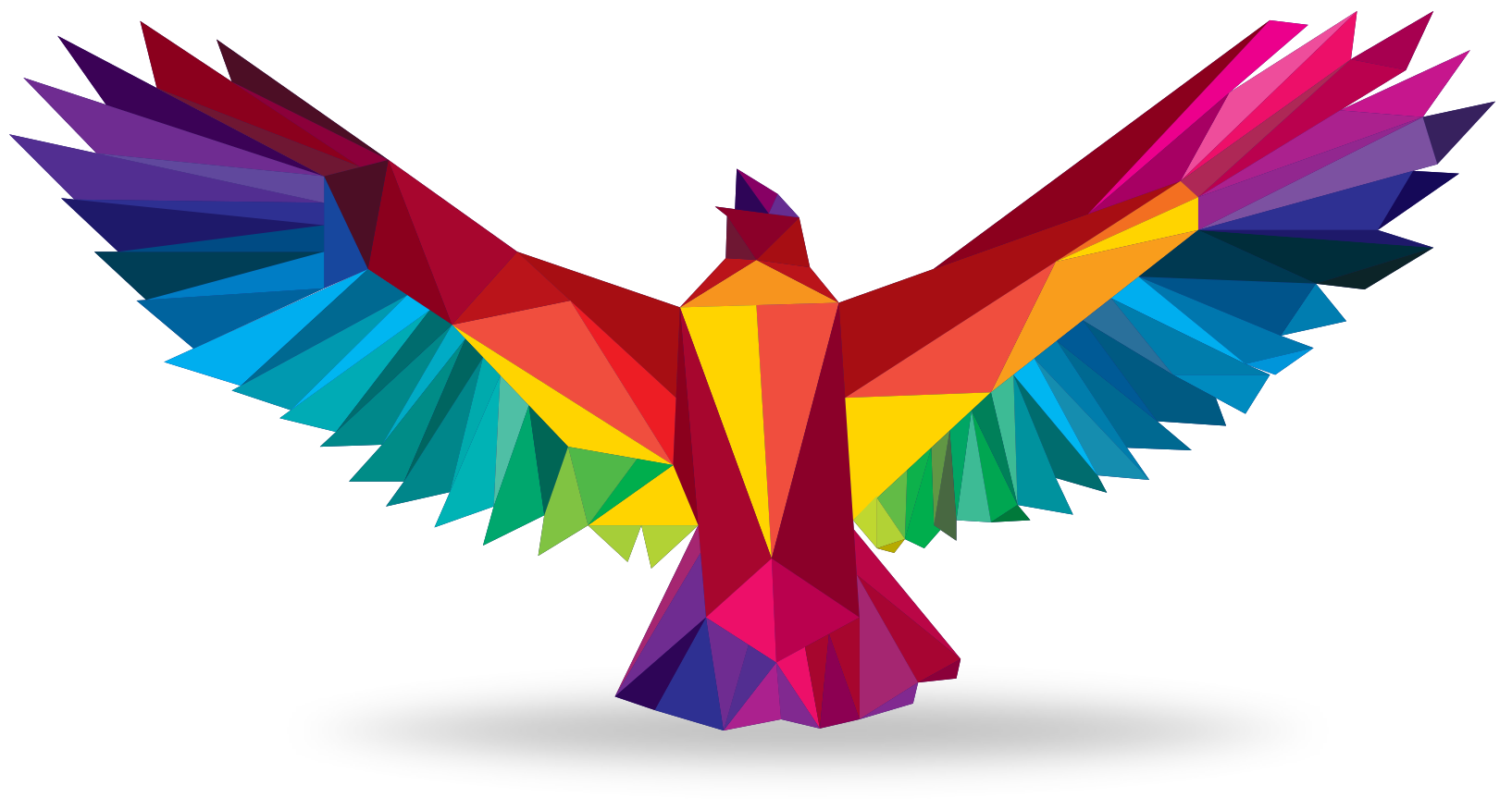 aquila